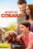 Думай как собака
