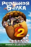 Реальная белка 2