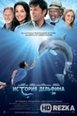История дельфина