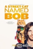 Уличный кот по кличке Боб
