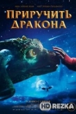 Приручить дракона
