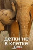 Детки не в клетке