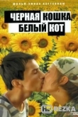 Черная кошка, белый кот