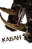 Кабан