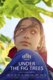 Под фиговыми деревьями