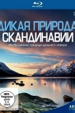 Дикая природа Скандинавии