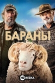 Бараны