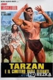 Тарзан: Человек-обезьяна