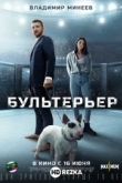 Бультерьер