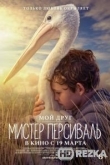 Мой друг мистер Персиваль