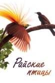 Райские птицы