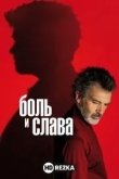 Боль и слава