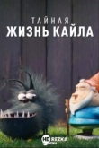Тайная жизнь Кайла