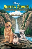 Дорога домой: Невероятное путешествие
