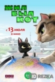 Жил-был кот / Черный кот Рудольф