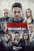 Питбуль. Последний пёс