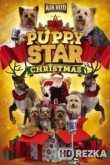 Рождество звёздного щенка