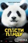 Спасти панду