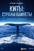 Киты: Стражи планеты