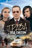 Трава под снегом