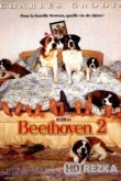 Бетховен 2