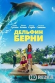 Дельфин Берни