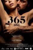 365 дней