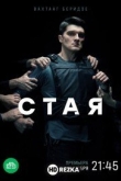 Стая