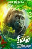Айван, единственный и неповторимый
