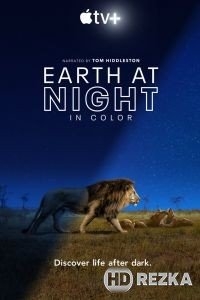 Земля ночью в цвете