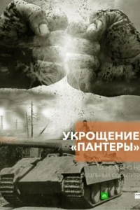 Укрощение «Пантеры»