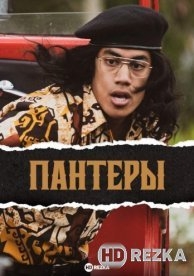 Пантеры