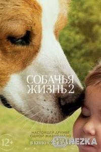 Собачья жизнь 2