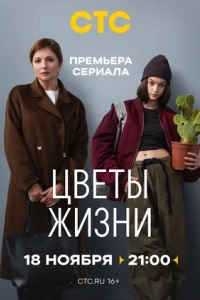 Цветы жизни
