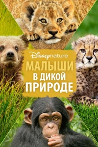 Малыши в дикой природе