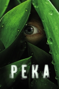 Река