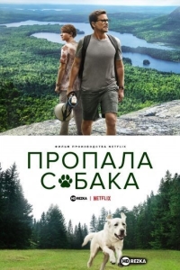 Пропала собака