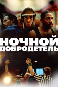Ночной добродетель