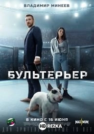 Бультерьер