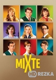 Смешанный лицей