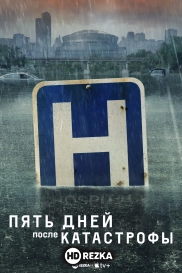 Пять дней после катастрофы