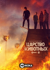 По волчьим законам