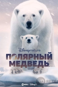 Полярный медведь