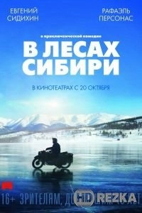 В лесах Сибири