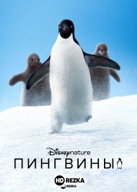 Пингвины