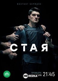 Стая