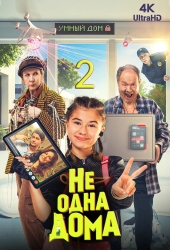Не одна дома 2