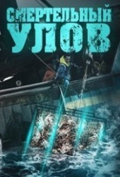 Discovery. Смертельный улов